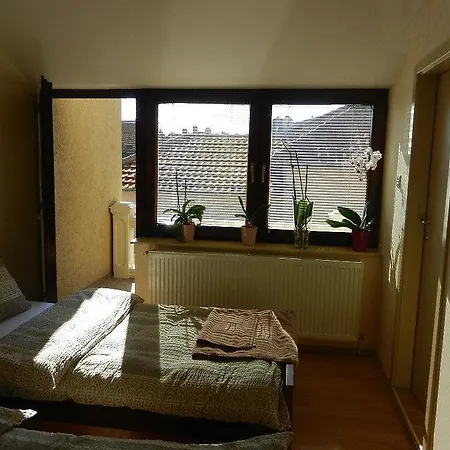 Guesthouse Ellite Pozarevac Room photo